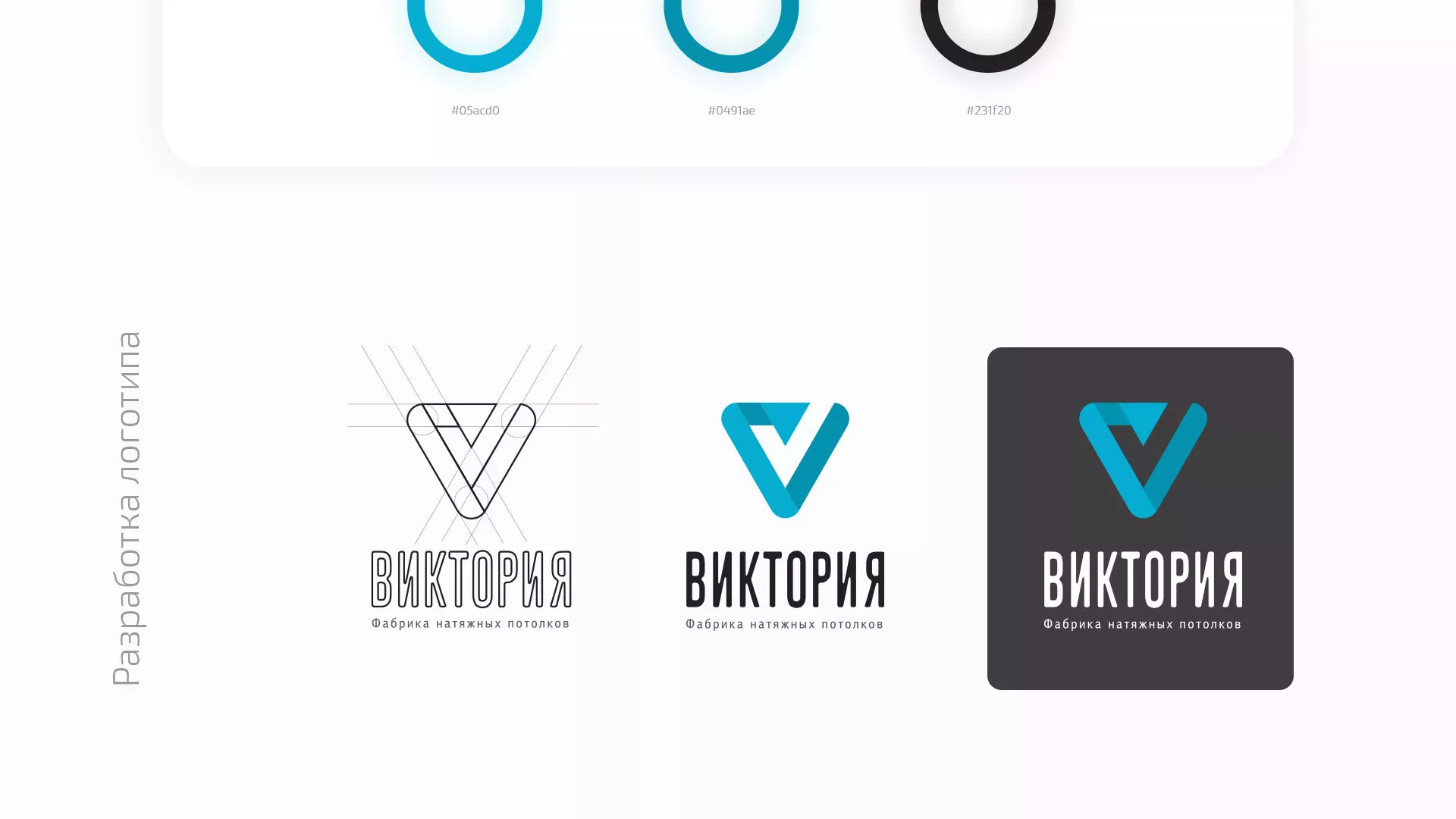 Разработка фирменного стиля компании по продаже и установке натяжных потолков в Енисейске