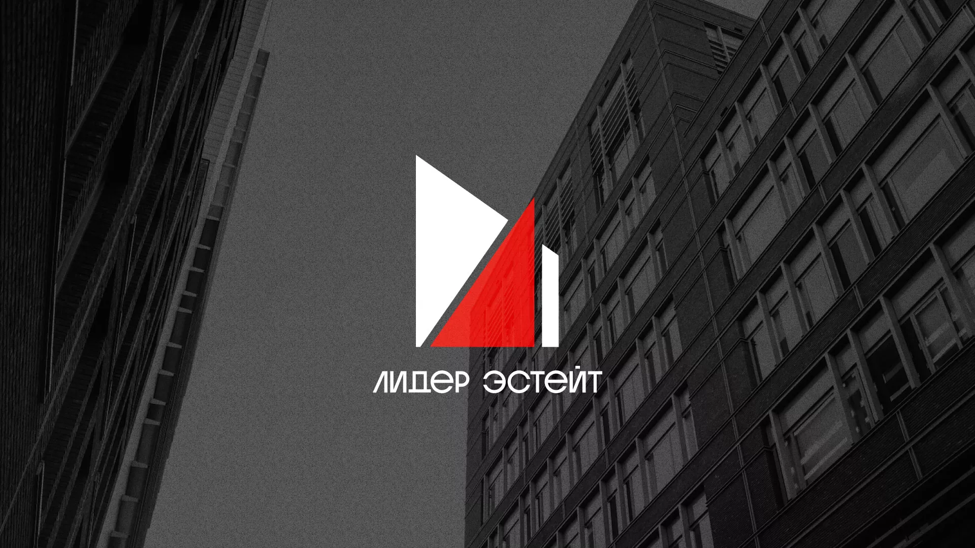 Сделали логотип для агентства недвижимости «Лидер Эстейт» в Енисейске